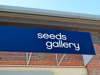 Seeds Gallery